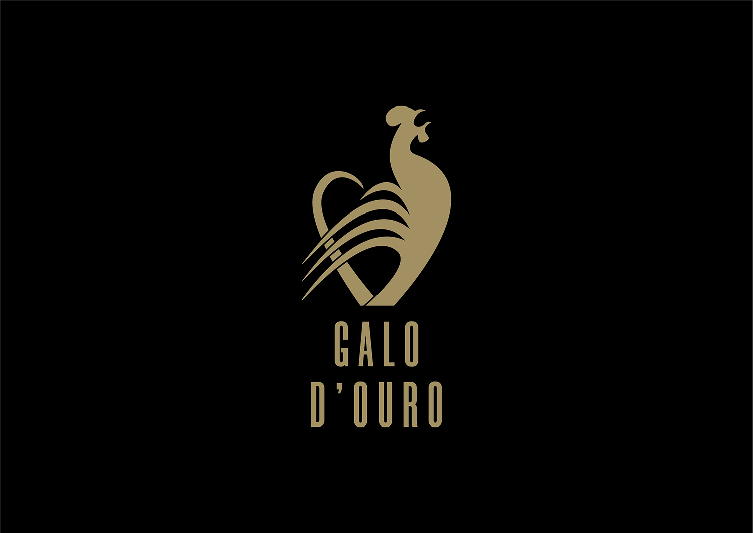 galo-d-ouro-07